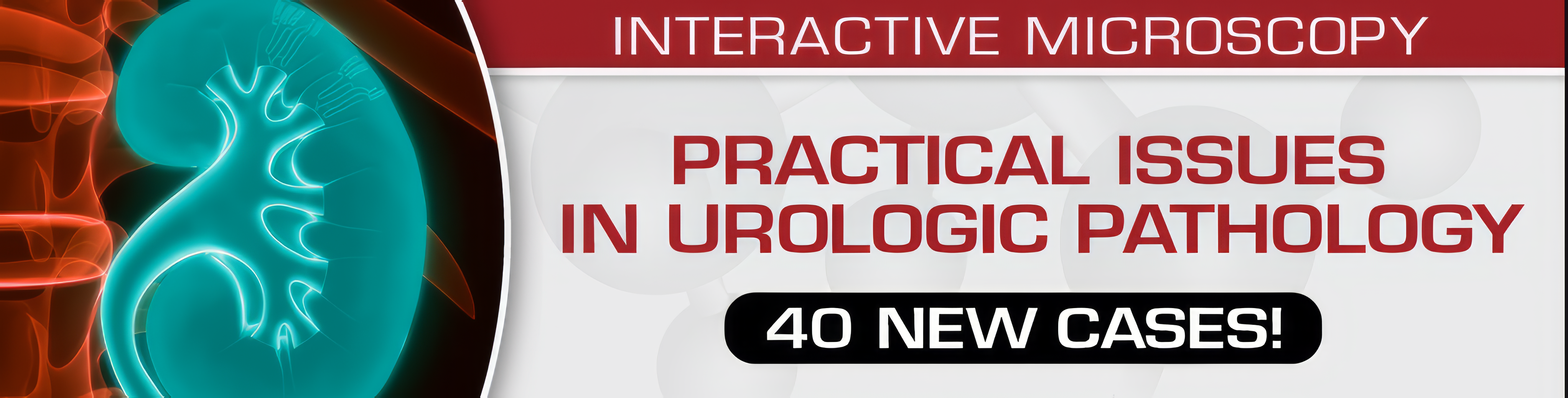 Practical Issues In Urologic Pathology – 40 New Cases! 2021 (Videos)