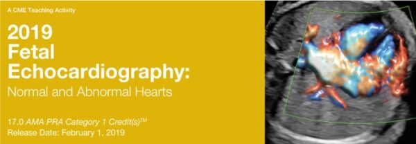 2019 Fetal Echocardiography Normal and Abnormal Hearts (CME Videos)