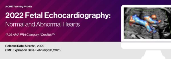 2022 Fetal Echocardiography Normal and Abnormal Hearts