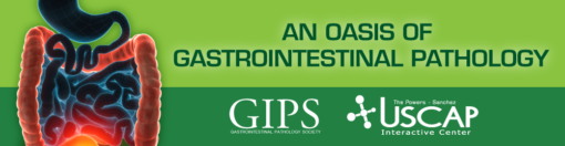 An Oasis of Gastrointestinal Pathology 2020 (CME VIDEOS)