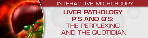 USCAP Liver Pathology P’s and Q’s: The Perplexing and the Quotidian 2022