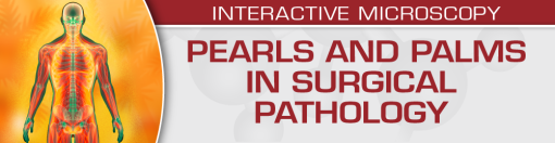 USCAP Pearls and Palms in Surgical Pathology 2022 (CME VIDEOS)