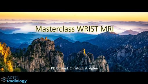 Agten Wrist MRI Masterclass