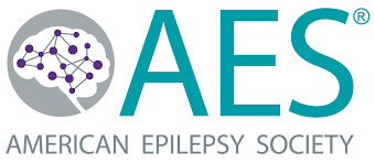 AES 2020: A New Virtual Event from the American Epilepsy Society (CME VIDEOS)