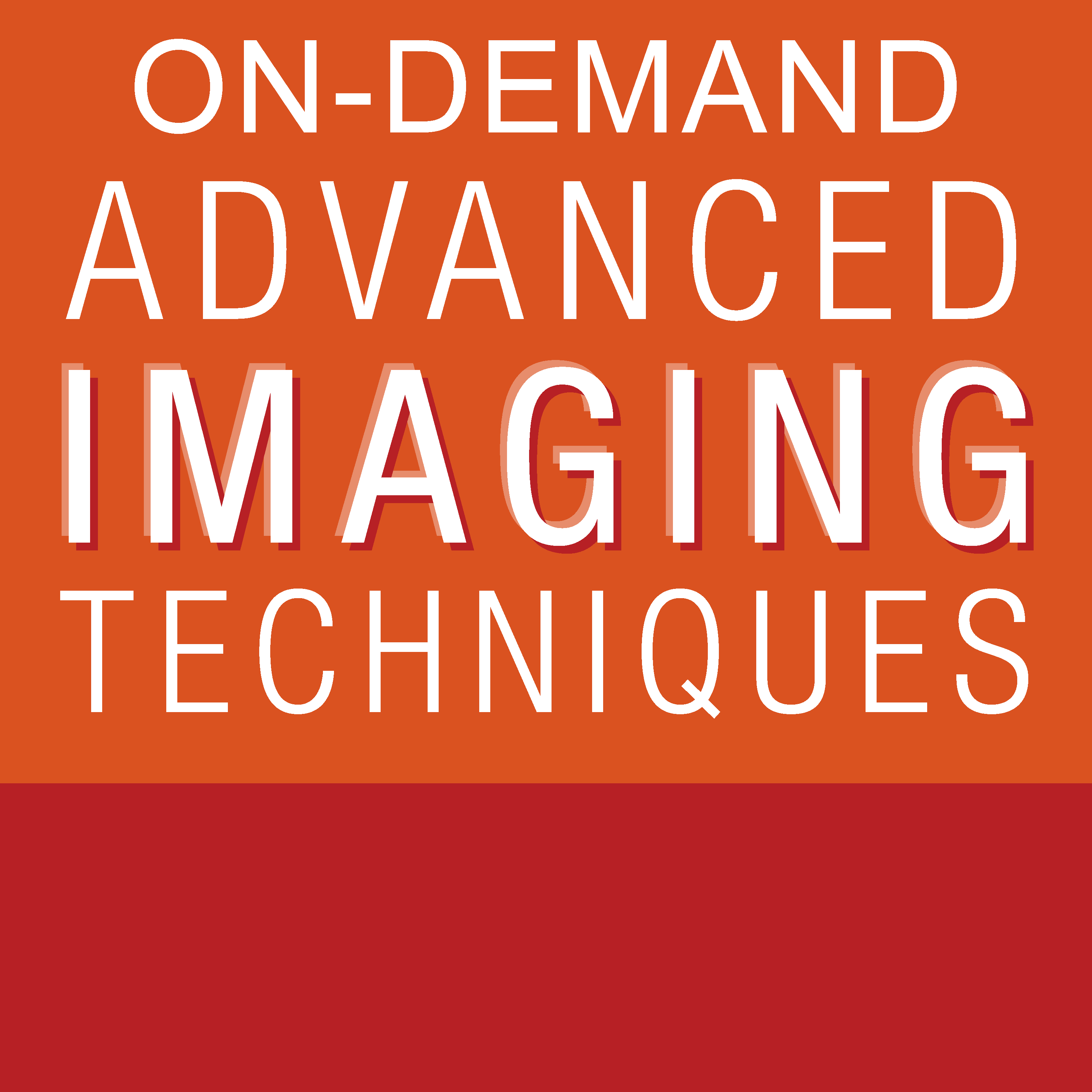 2022 Advanced Imaging Techniques: OnDemand – (ASELearningHub) (Videos)