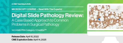 Digital Slide Pathology Review: A Case Based Approach to Common Problems in Surgical Pathology 2022 (Videos)