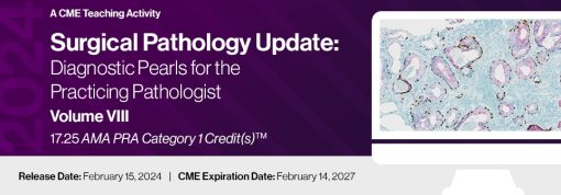 2024 Surgical Pathology Update: Diagnostic Pearls for the Practicing Pathologist: Vol. VIII