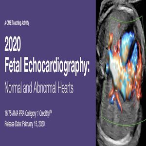 2020 Fetal Echocardiography Normal and Abnormal Hearts (CME VIDEOS)