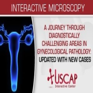 A Journey Through Diagnostically Challenging Areas in Gynecologic Pathology Updated with New Cases 2019 (CME VIDEOS)