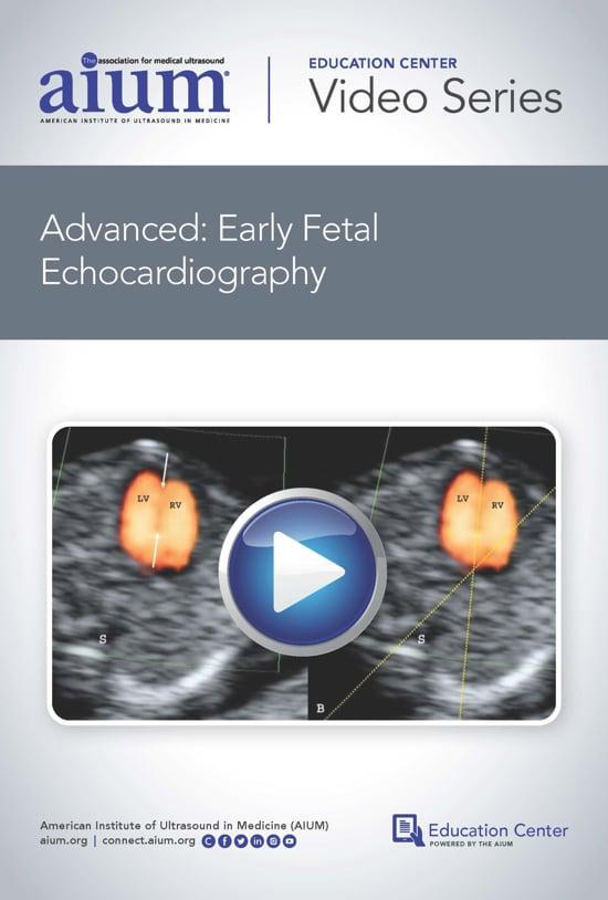 Advanced: Early Fetal Echocardiography