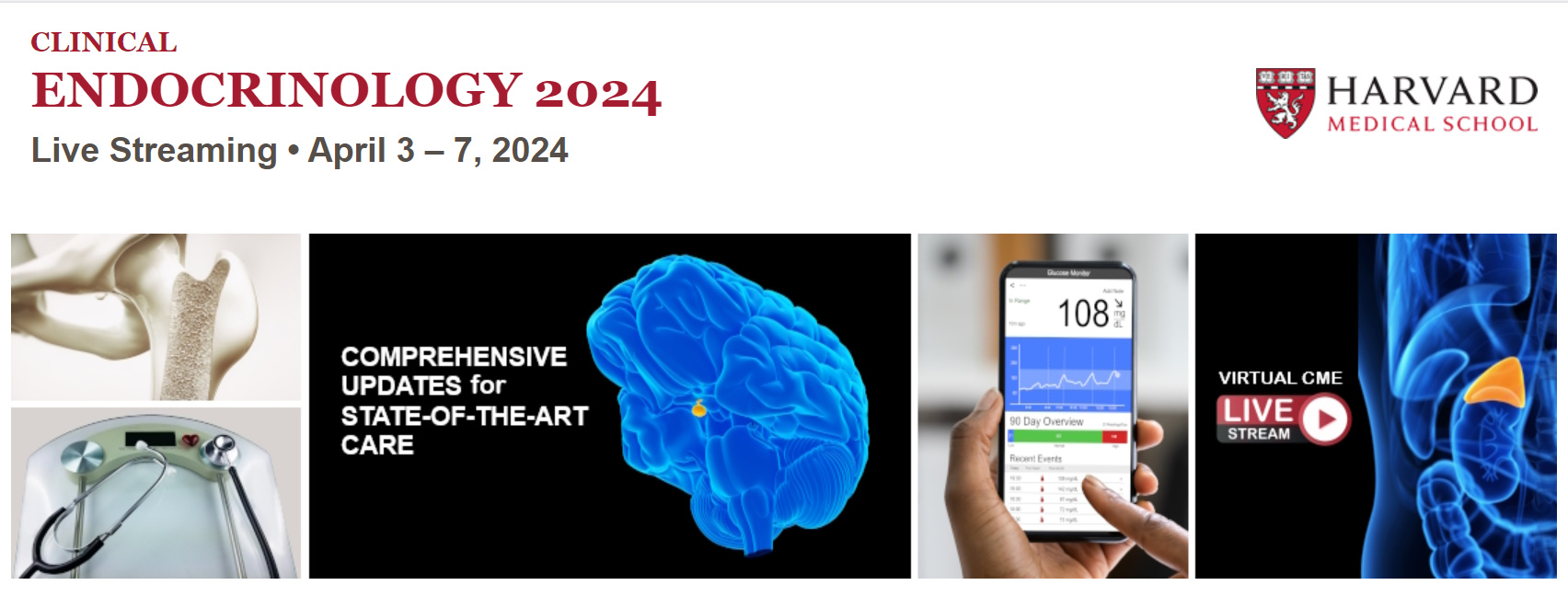 Harvard Medical School Clinical Endocrinology 2024