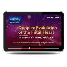 Gulfcoast Doppler Evaluation of the Fetal Heart