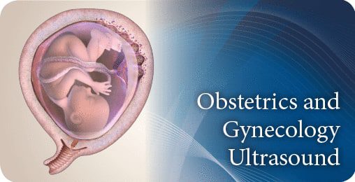 Pegasus Lectures Complete OB/GYN Review Ultrasound Video Course