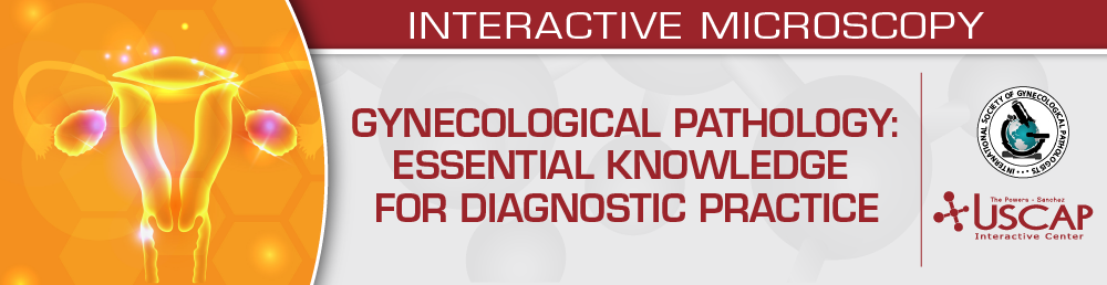 USCAP Gynecological Pathology 2024: Essential Knowledge for Diagnostic Practice