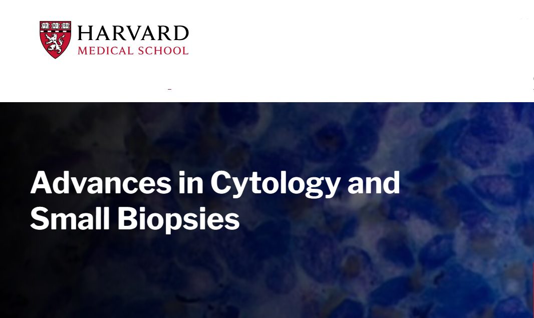 Harvard Advances In Cytology And Small Biopsies 2023
