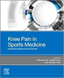 Knee Pain In Sports Medicine: Essentials Of Diagnosis And Treatment