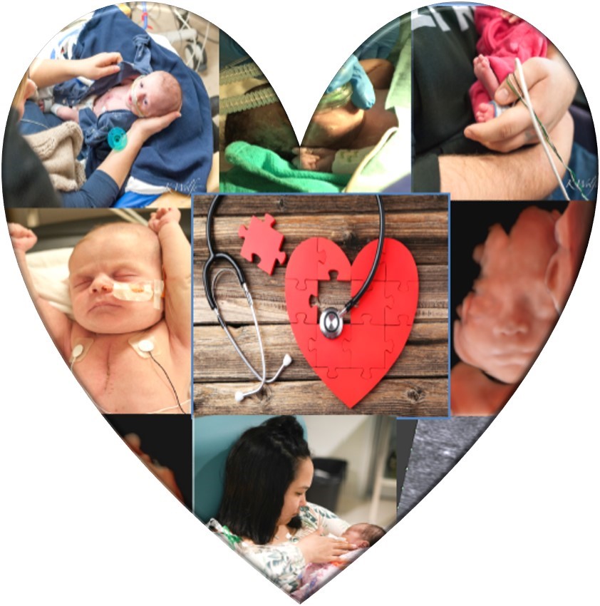 Stollery Cardiac Program Virtual Symposium Fetal-Perinatal-Neonatal Cardiac Continuum 2021