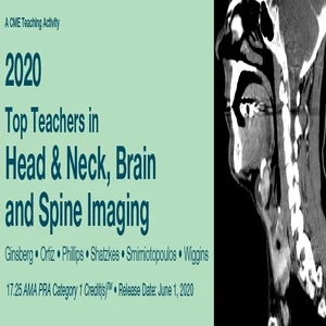 2020 Top Teachers In Head & Neck, Brain And Spine Imaging (Videos)