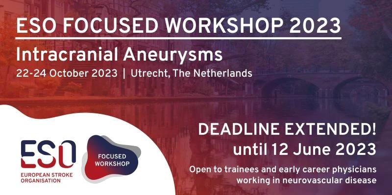ESO 2023 Focused Workshop Intracranial aneurysms