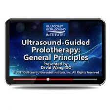 Gulfcoast Ultrasound Guided Prolotherapy: General Principles (Videos)