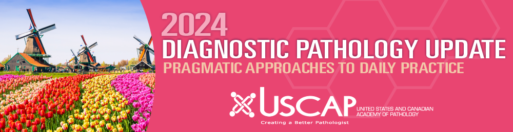 2024 Diagnostic Pathology Update: Pragmatic Approaches to Daily Practice