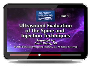 Gulfcoast: Ultrasound Evaluation of the Spine & Injection Techniques