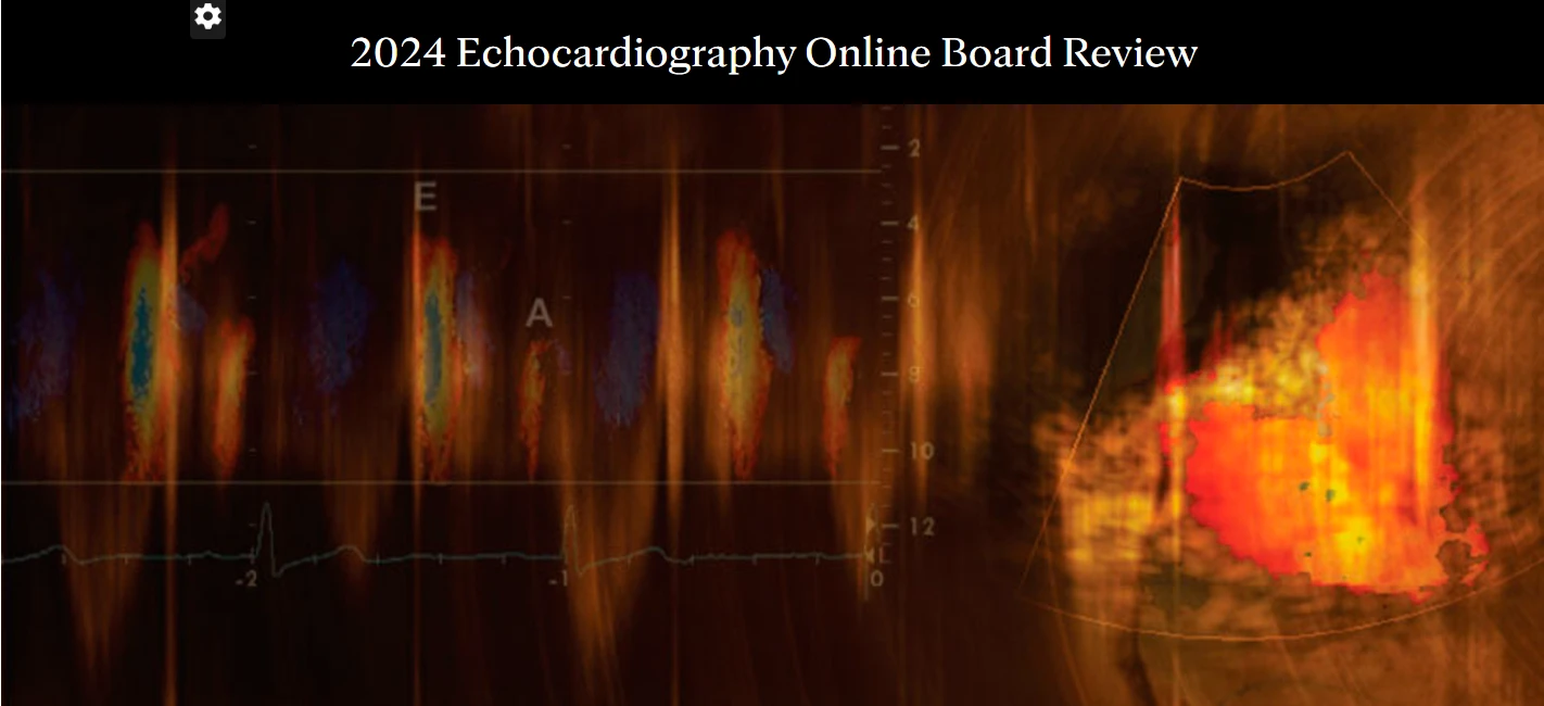 Mayo Clinic 2024 Echocardiography Online Board Review