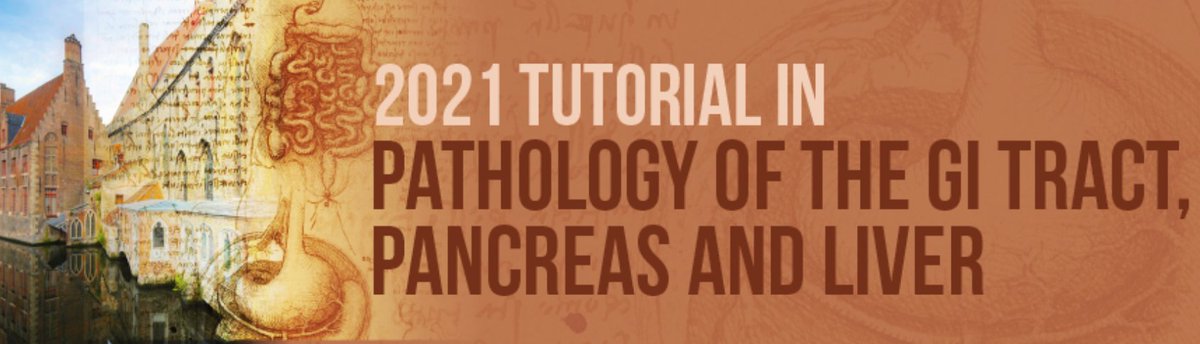 USCAP Tutorial in Pathology of the GI Tract, Pancreas and Liver 2021 (Videos)