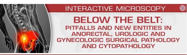 USCAP BELOW THE BELT: Pitfalls and New Entities in Anorectal, Urologic and Gynecologic Surgical Pathology and Cytopathology 2023